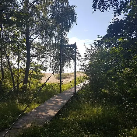 Pinedune *